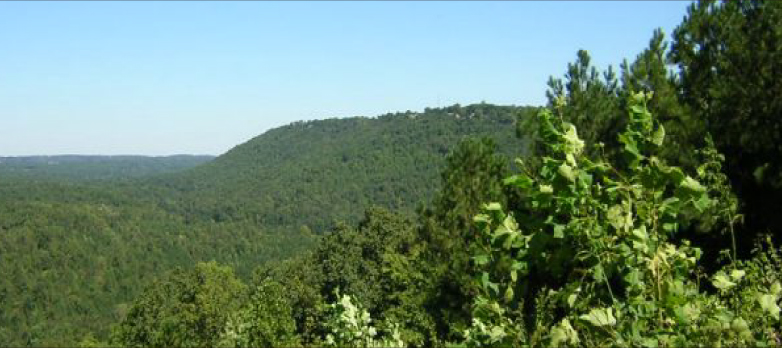 Friends of Shades Mountain